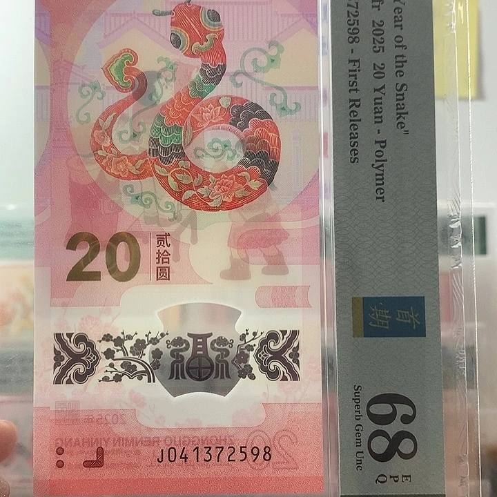 塑料乱蛇尾8，2598，