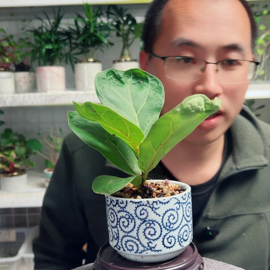 么***猫无花朵55