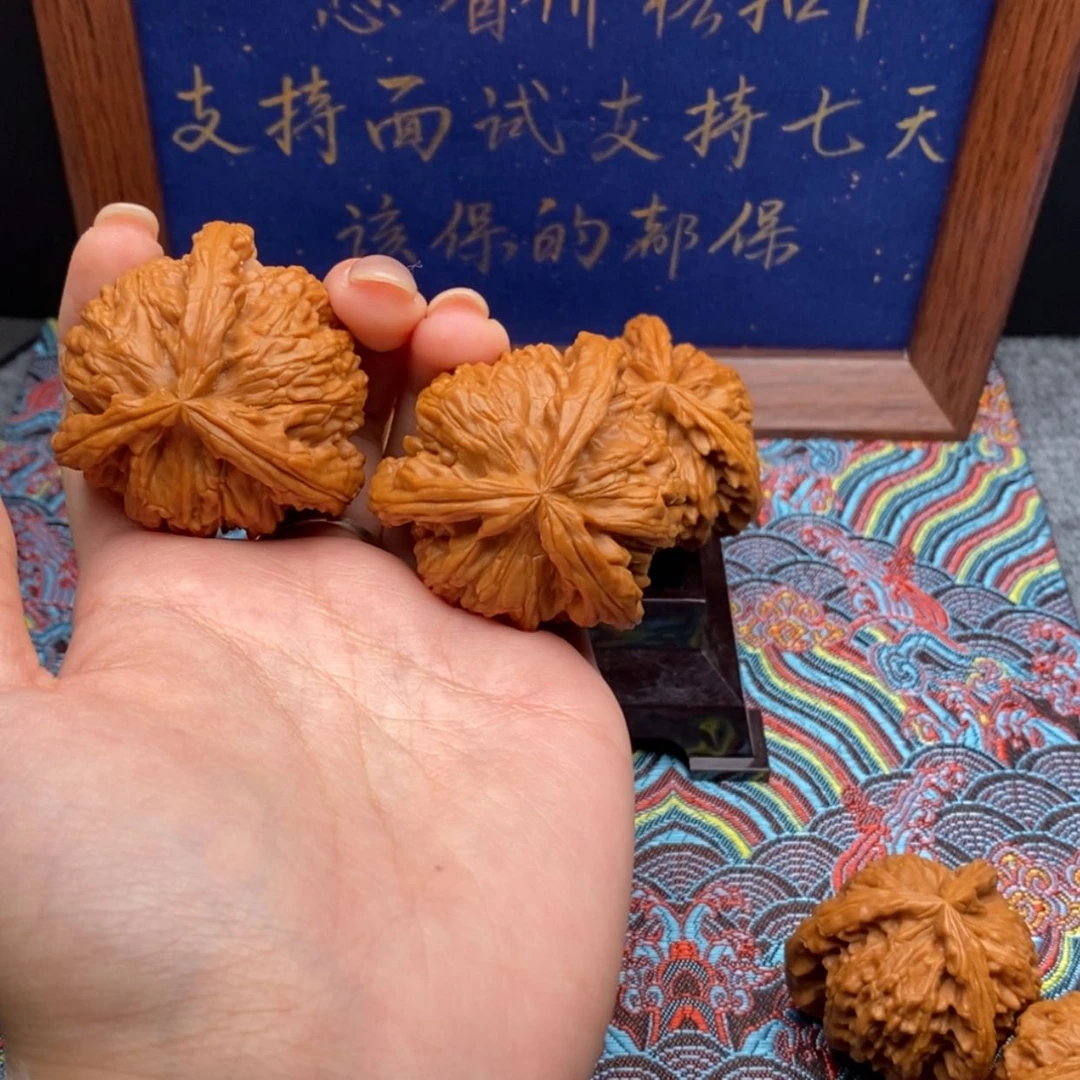 【闪购商品】潇****）白狮