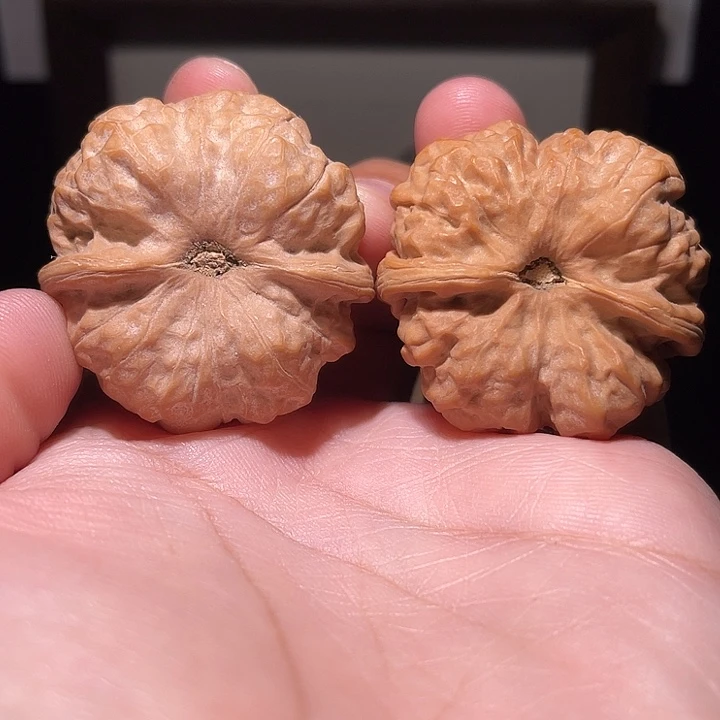 ****️核桃把件蛤蟆头