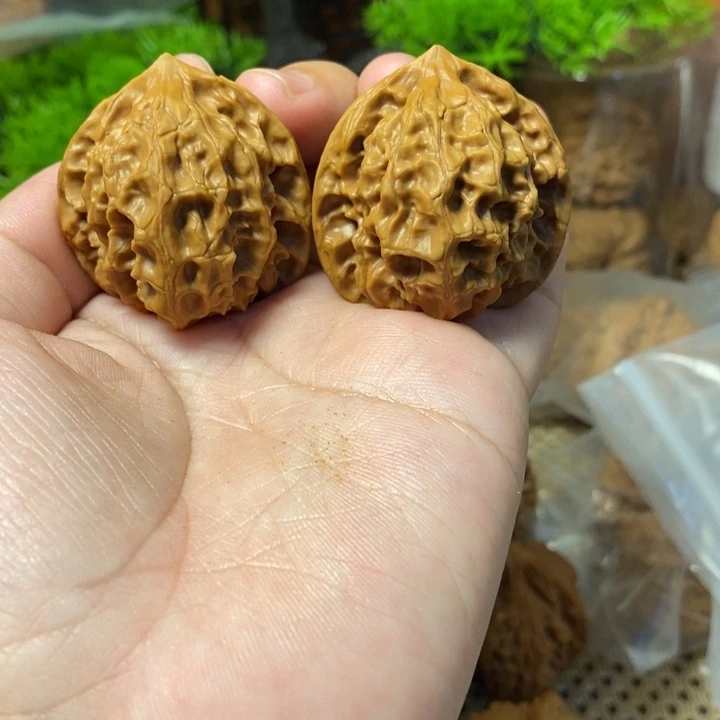 核桃手串/手链玲珑狮子头