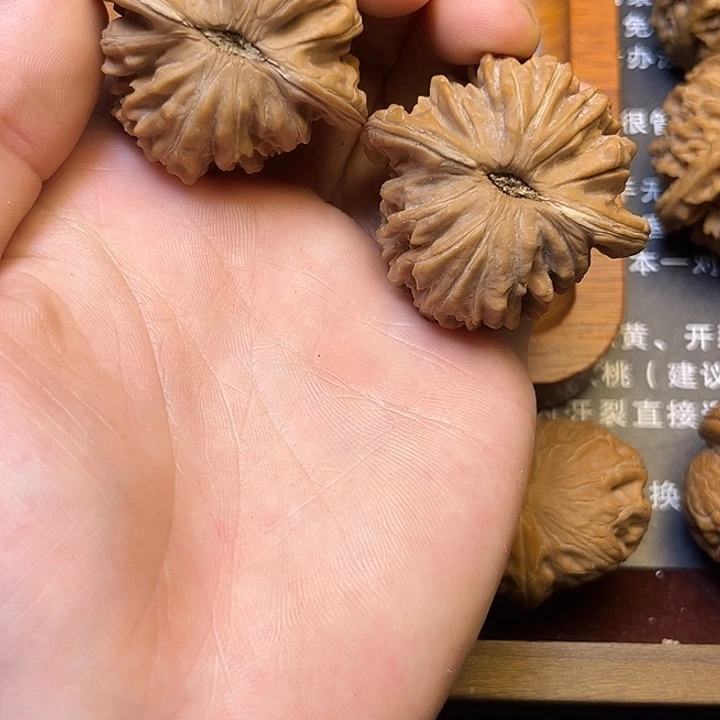 R***-四座楼全品42嘎嘎硬