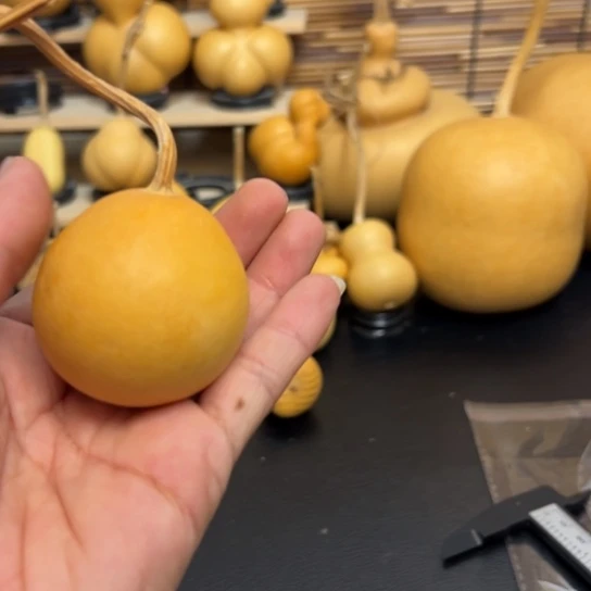 发*~45566655588888