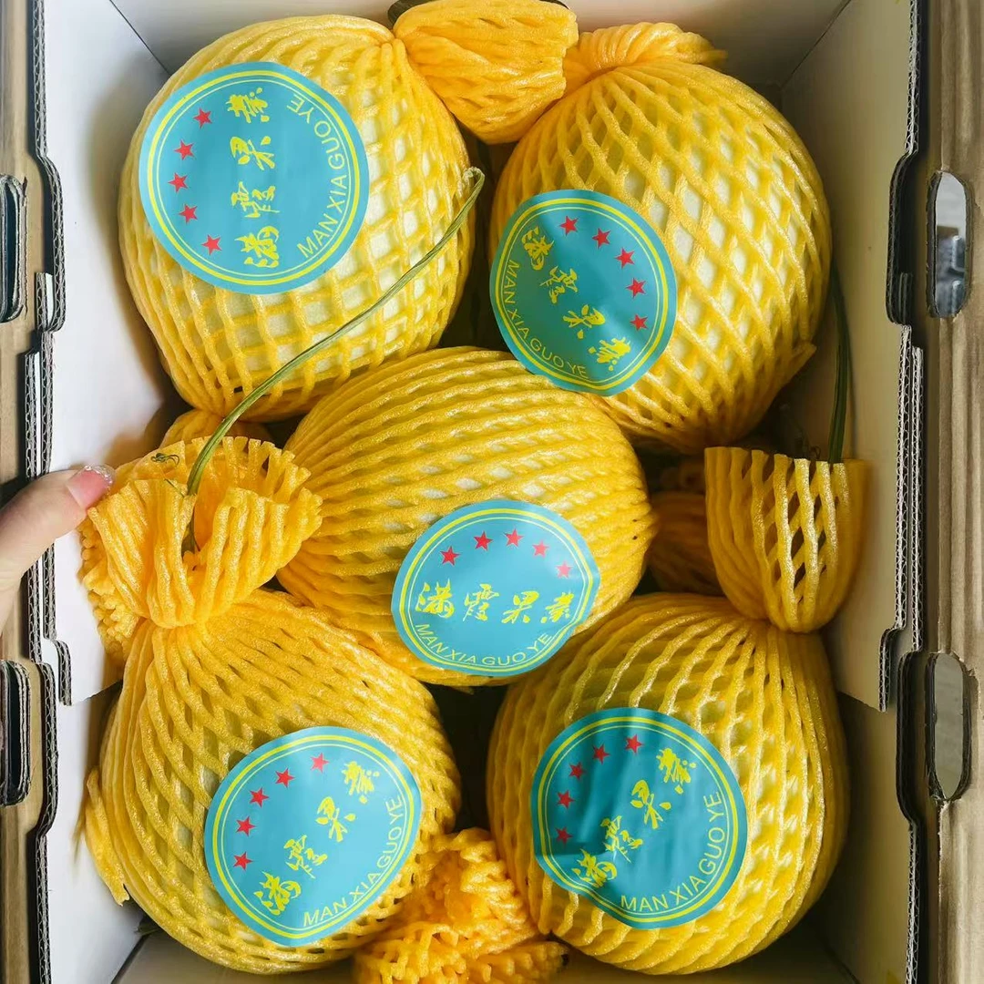 7 海南奶香蜜甜瓜 软糯香甜 净重12斤左右【只发河南省内】