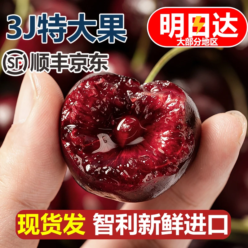 3JD特大果【今天拍明天到】智利车厘子新鲜宝宝孕妇水果DDL内附果径卡800g海运桑提娜樱桃智利共和国