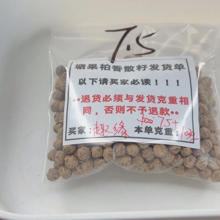 趣****塘果柏香散籽白芽原装7.5+ 100g