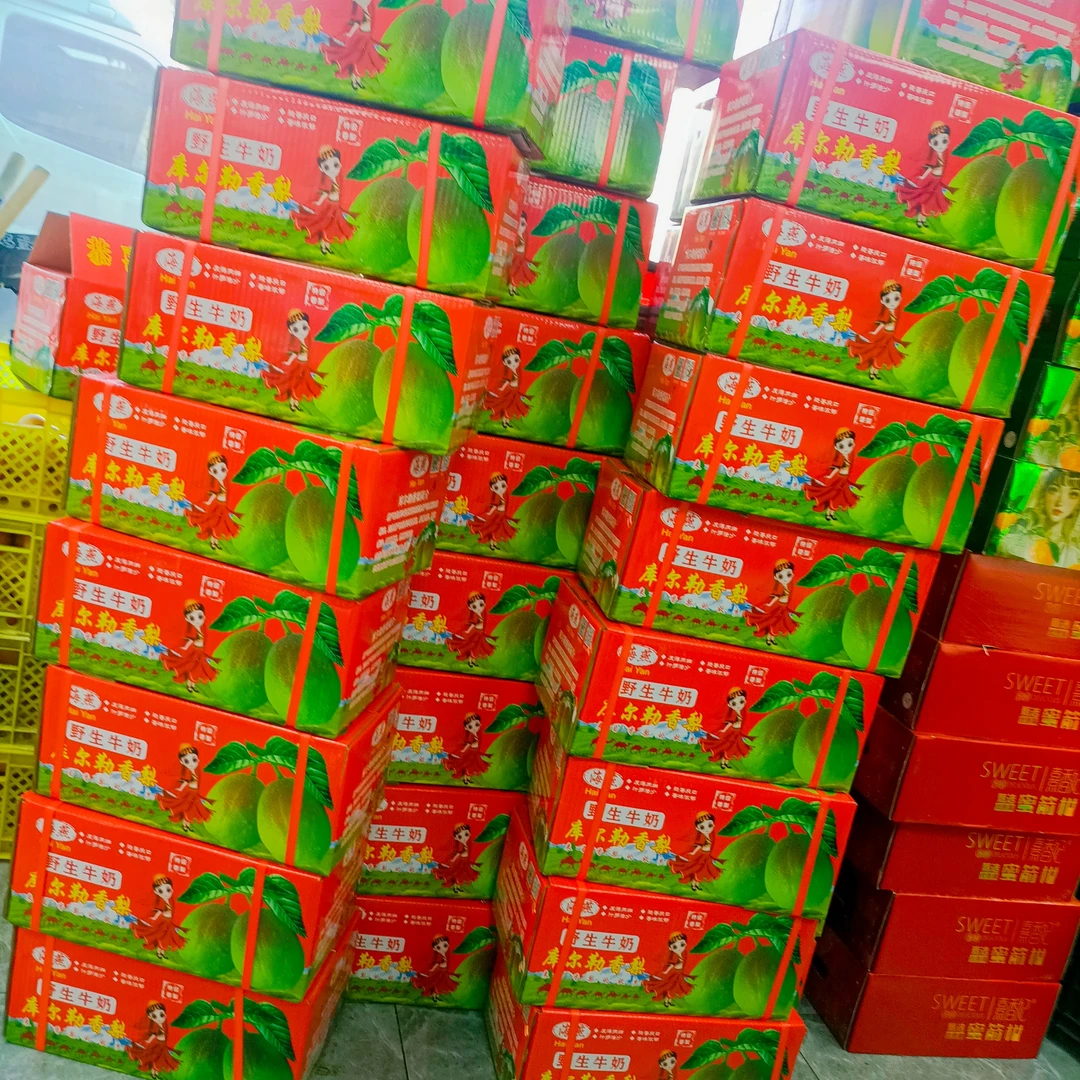 新疆库尔勒香梨一件（整箱水果个别有坏粒无售后，介意勿拍）