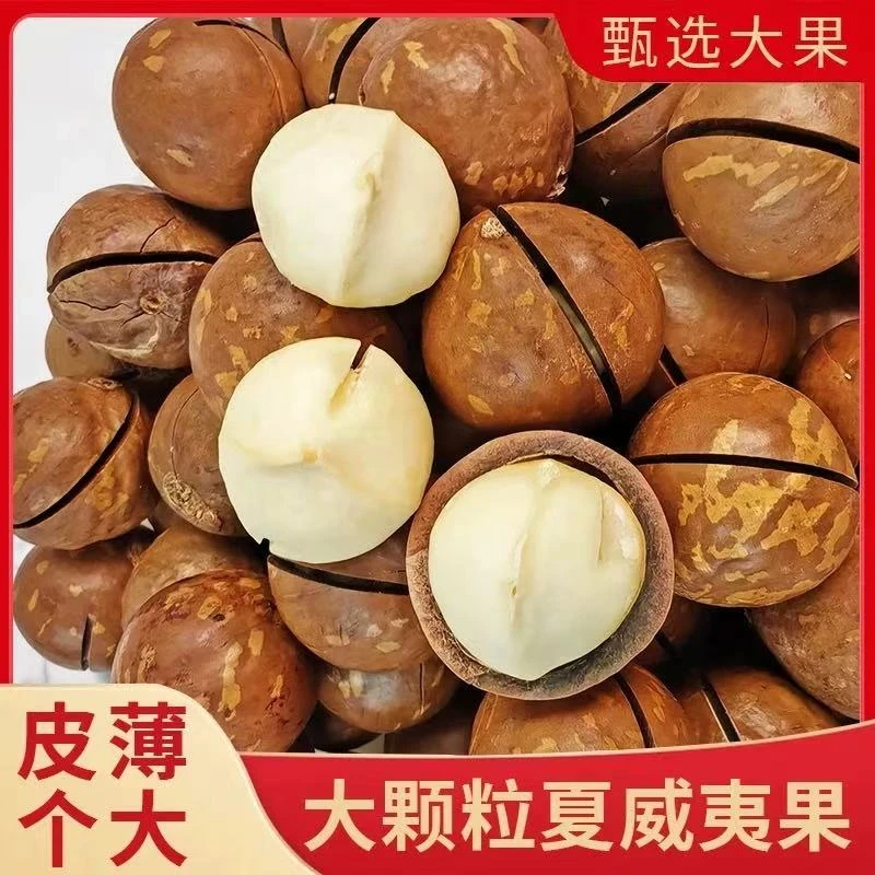 【奶香味】精选头茬夏果夏威夷果大颗粒奶油香味坚果休闲送开口器