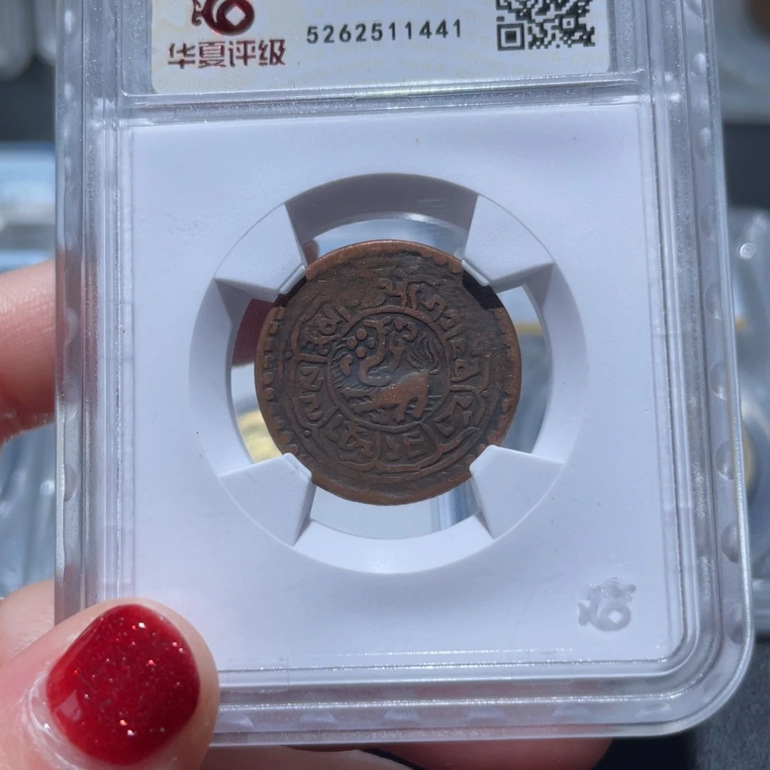 金属通古博今姚姚1441