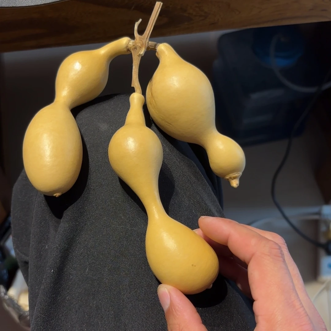 S***1葫芦88888888888888