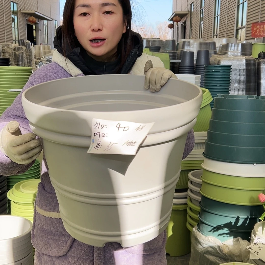 罗马盆小号灰白3个无托