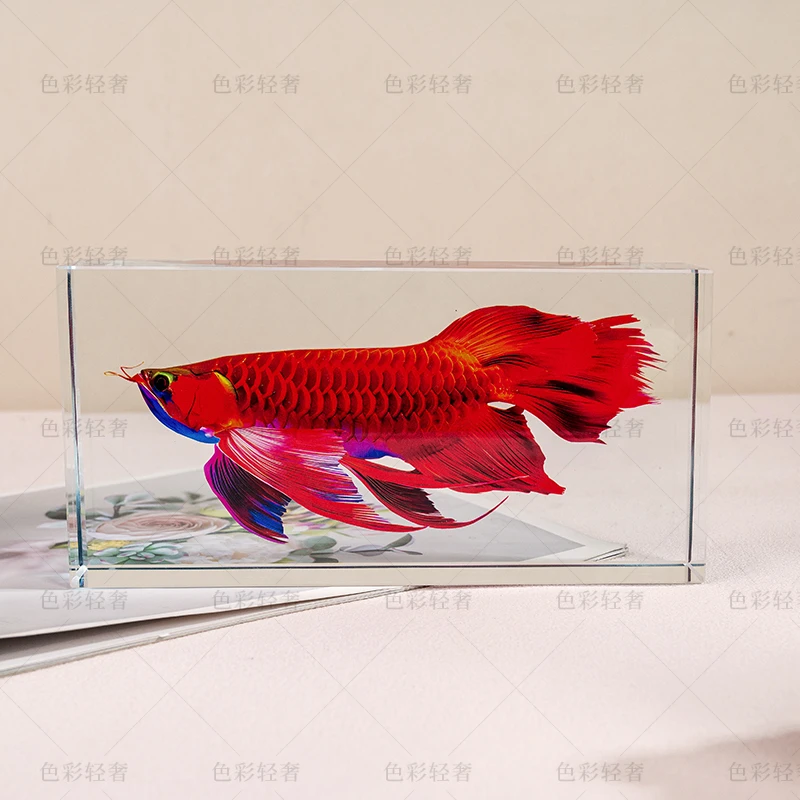 L807 现代化时尚质感家居水晶红龙鱼加底座摆件