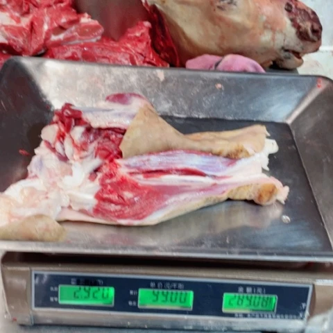 【闪购商品】冷冻保存30天包装河北省