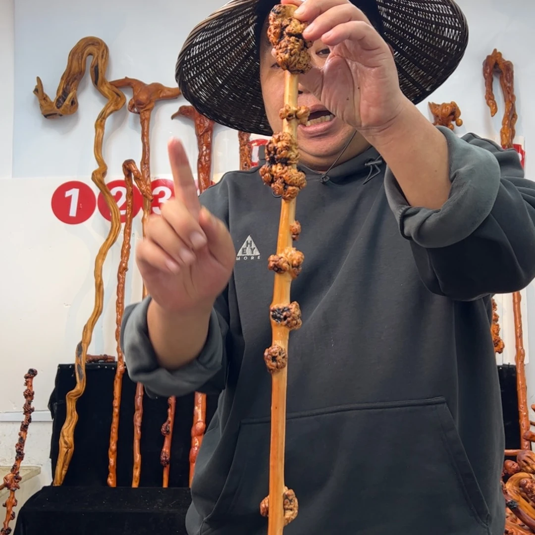 黑果木其他黑果木699