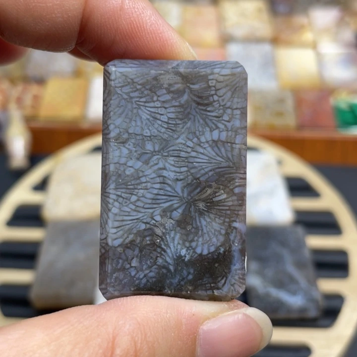 硅化玉未镶嵌颈饰k50