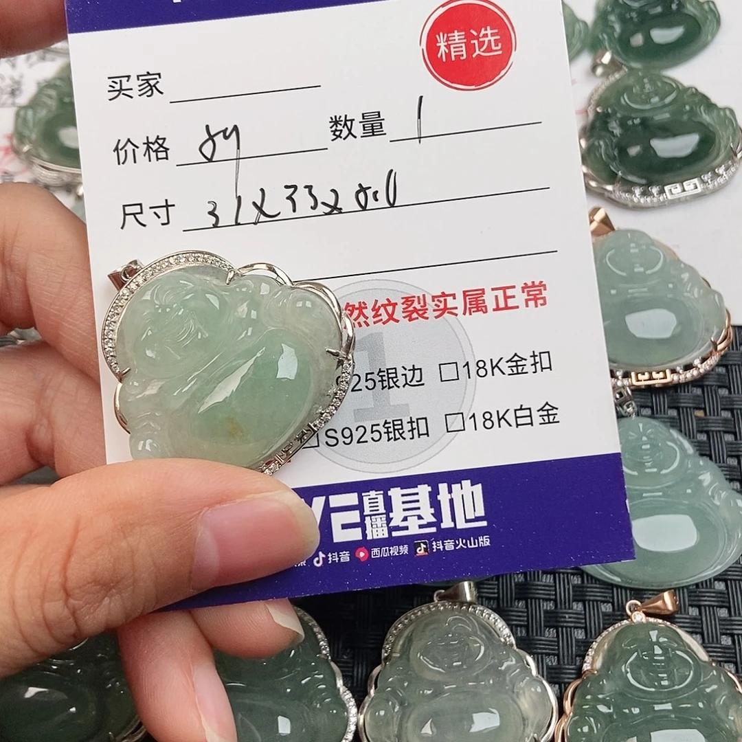 翡翠银S925镶嵌颈饰