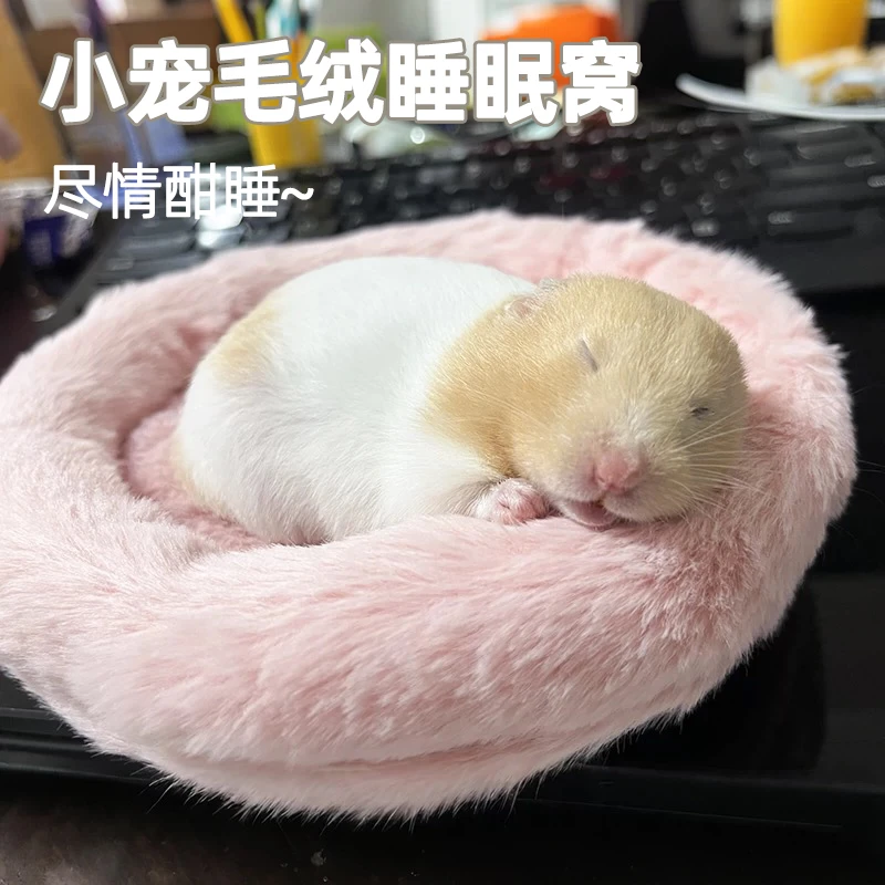 仓鼠棉窝保暖窝金丝熊窝冬季用品荷兰猪鹦鹉圆形兔绒棉窝换洗垫子