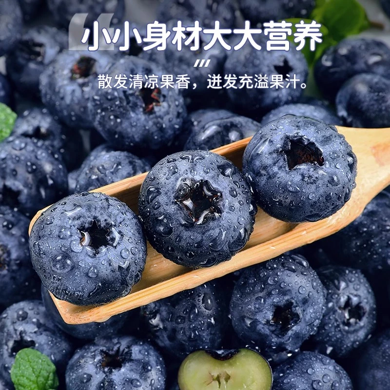 【精选好果】正宗云南蓝莓鲜果高山新鲜花青素水果（17-15mm+）100g/盒云南省