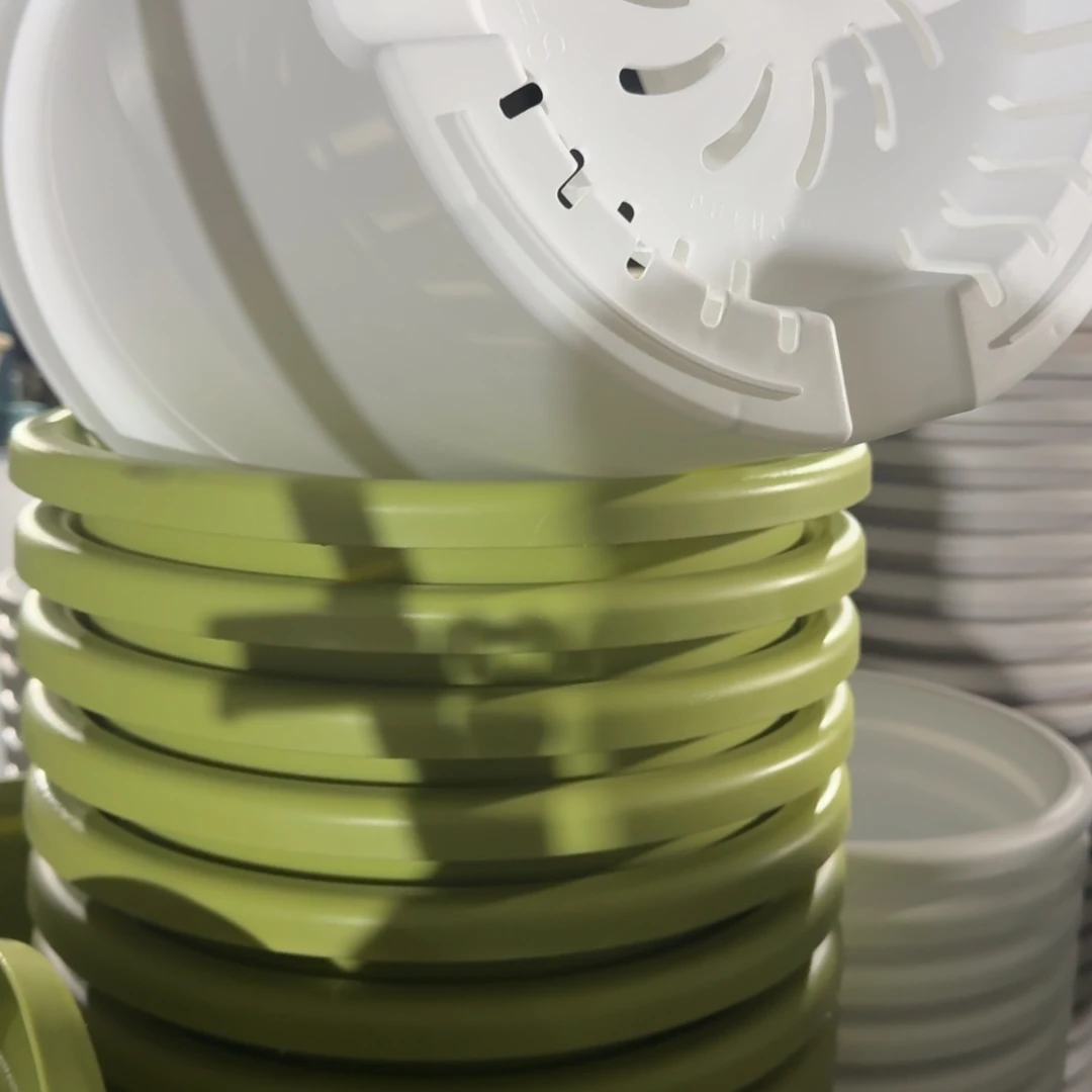 四季8号5个白色的