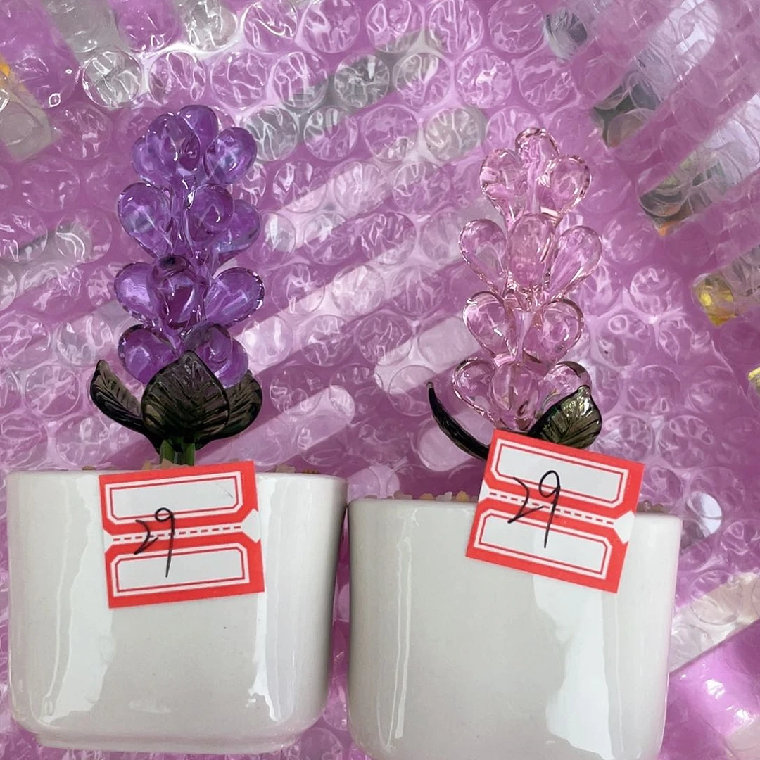 茶宠?**静你是我的小太阳啊我的小