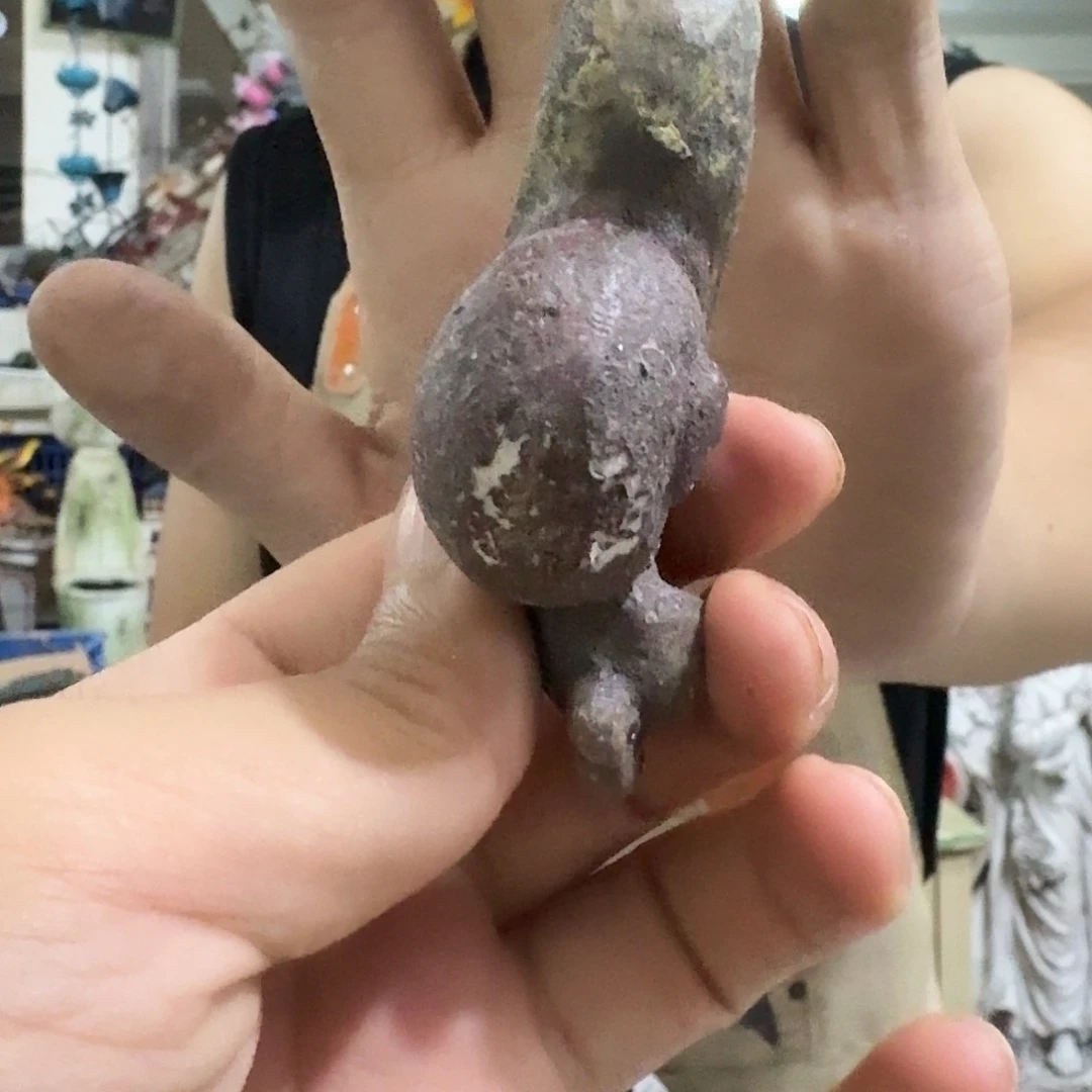 核桃木/黑胡桃（胡桃木）