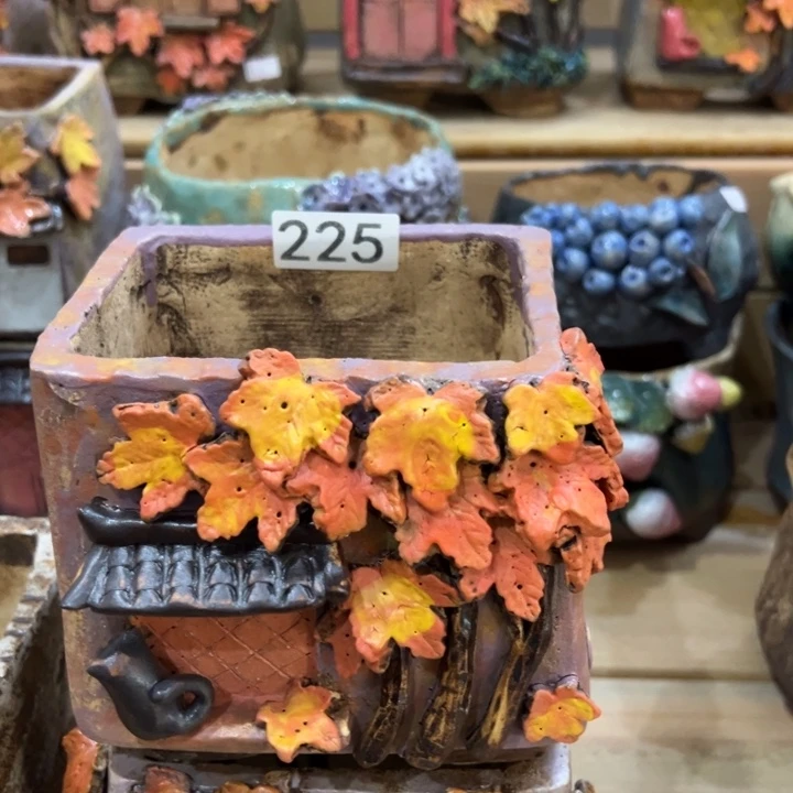 何***美特价多肉花盆百搭