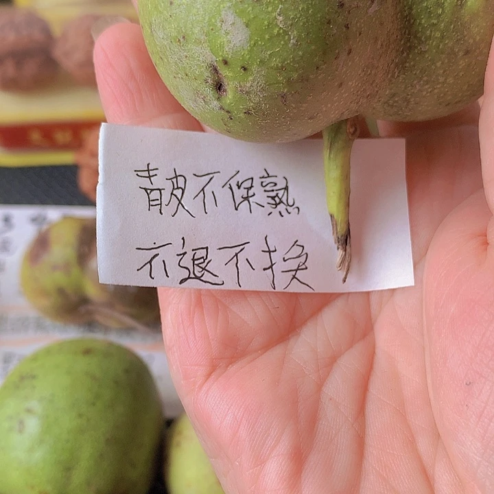 吊坠文玩核桃青皮核桃