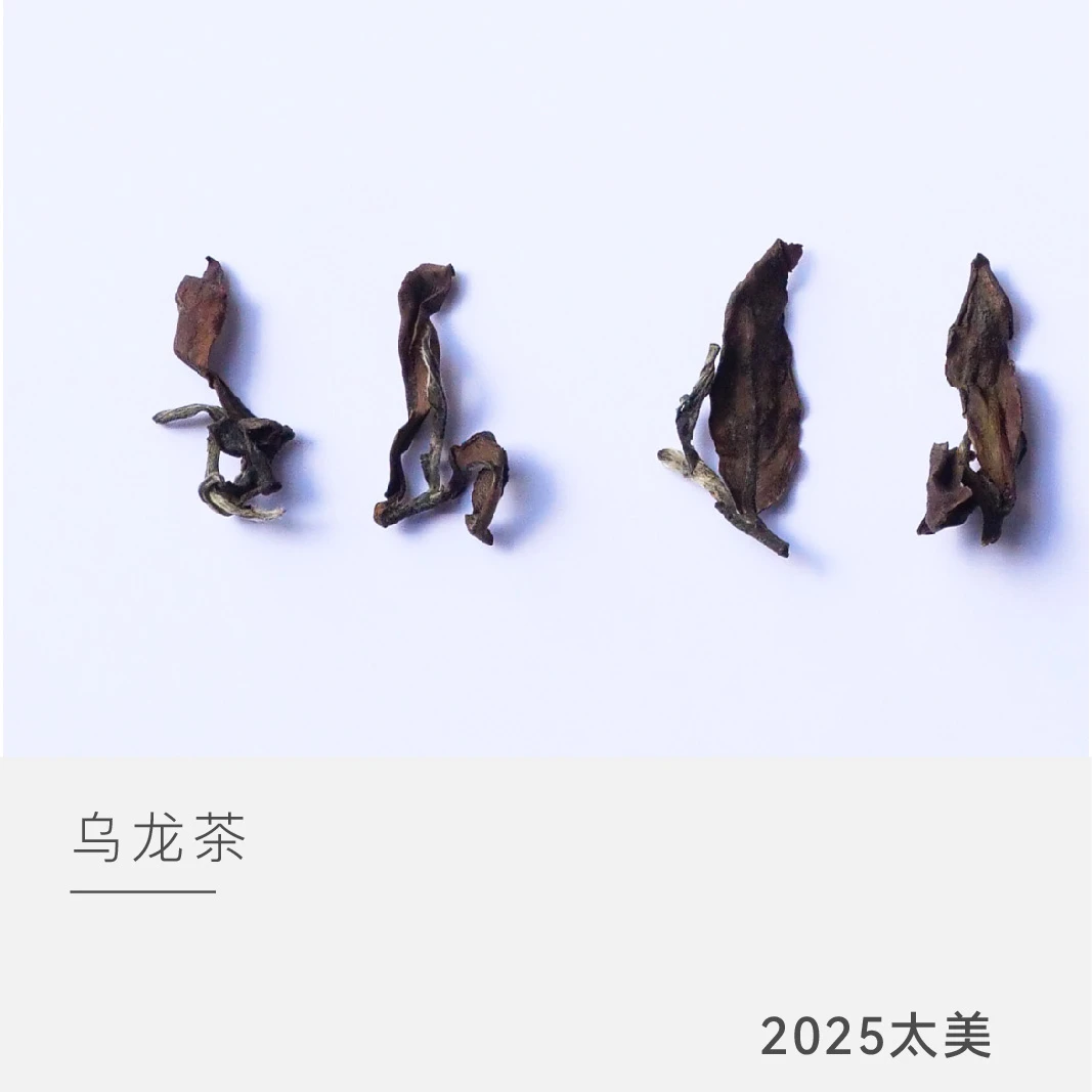 【太美】 2025年东方美人 乌龙茶 云人访严选