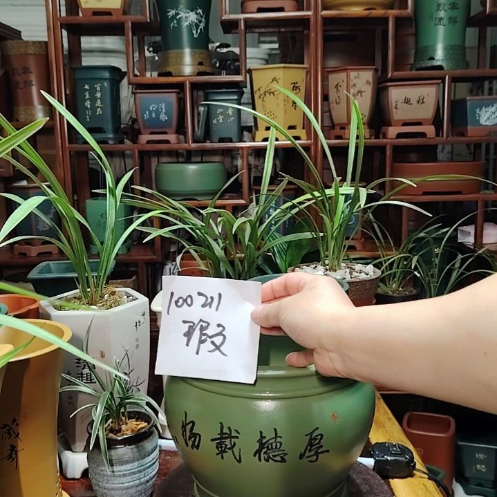 5S:/ 12/26 q@r.eO 【陶霸廊精品紫砂的直播间