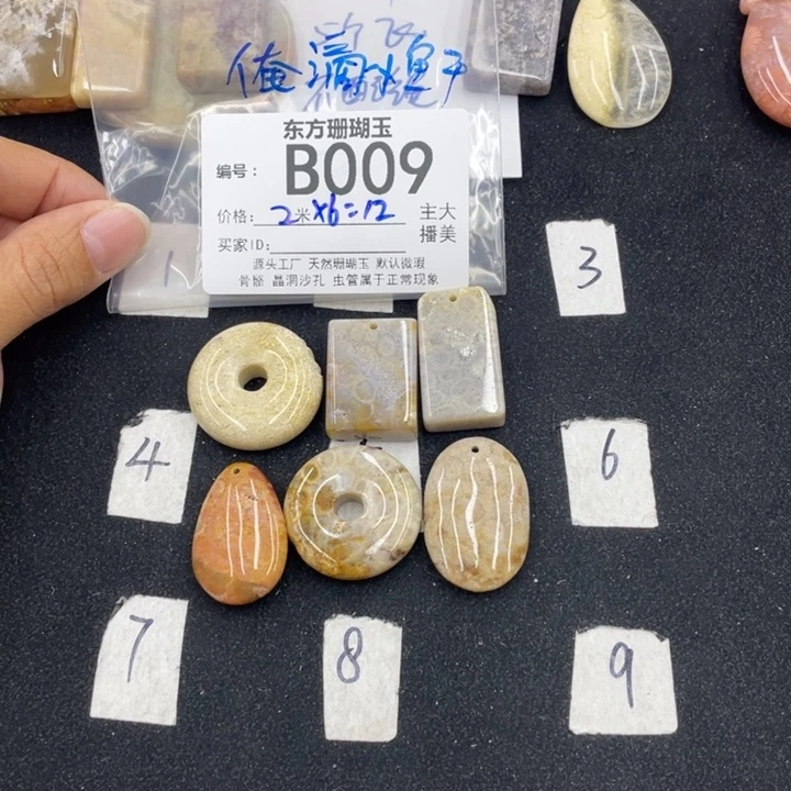 硅化珊瑚（珊瑚玉）颈饰合金俺****！
