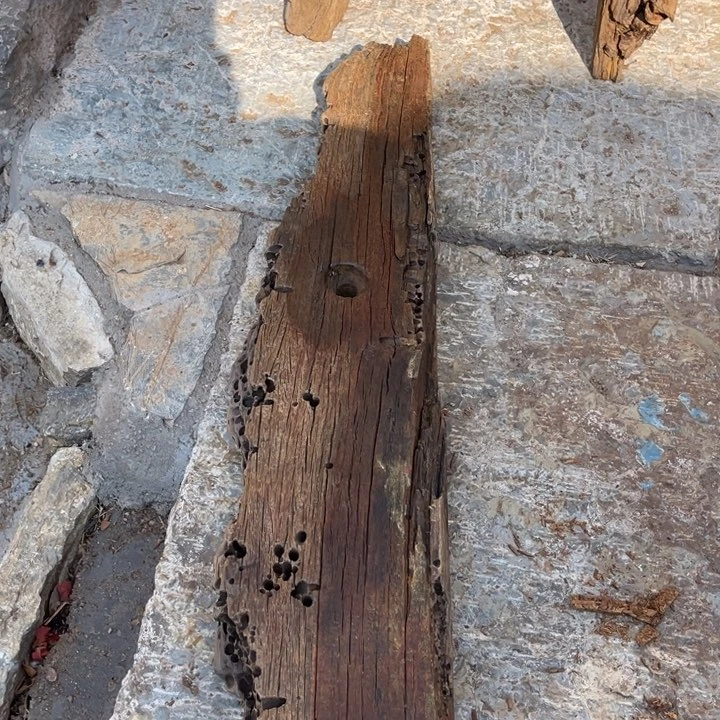 香榧木必*邻老物件木木