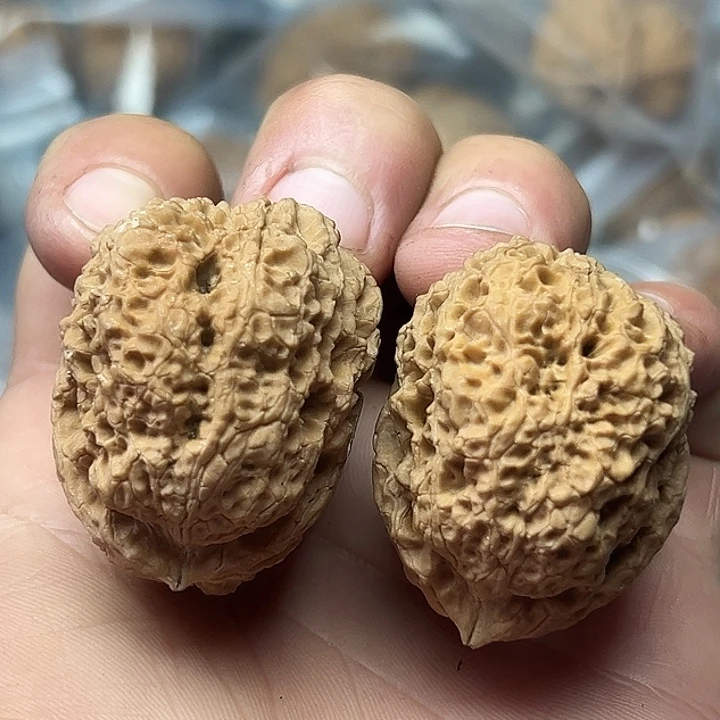 核桃34铁狮   41尺