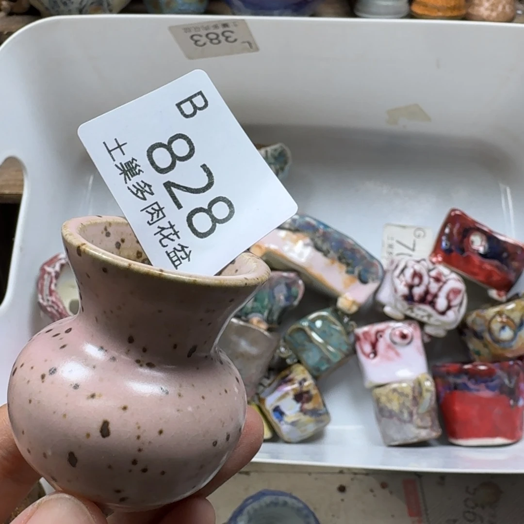 小***仙陶瓷艺术设计学与制作