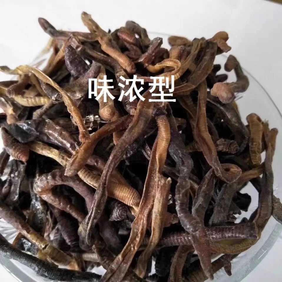 新货纯天然蚯蚓干整条