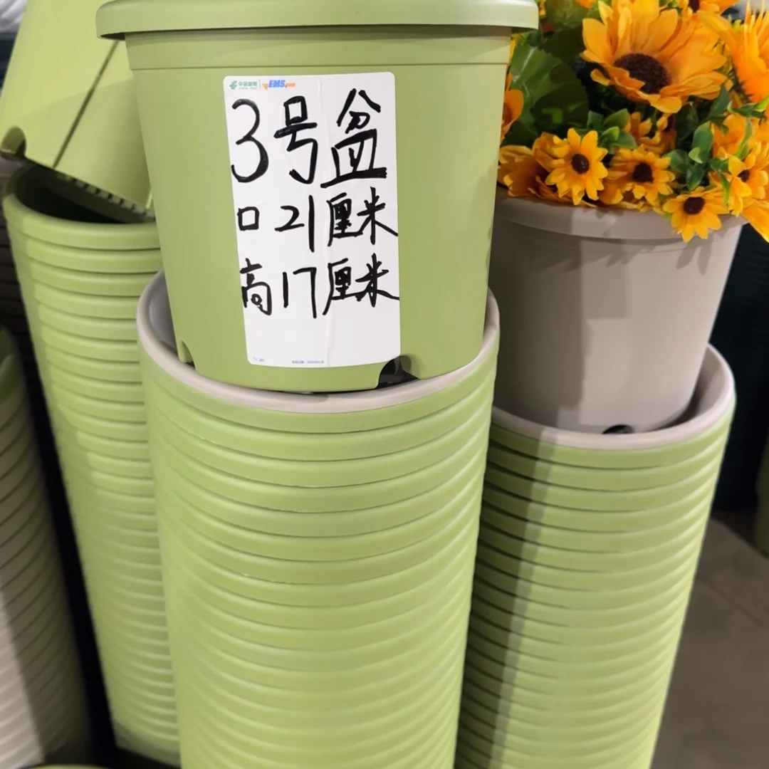 塑料四季3号果绿4个带拖