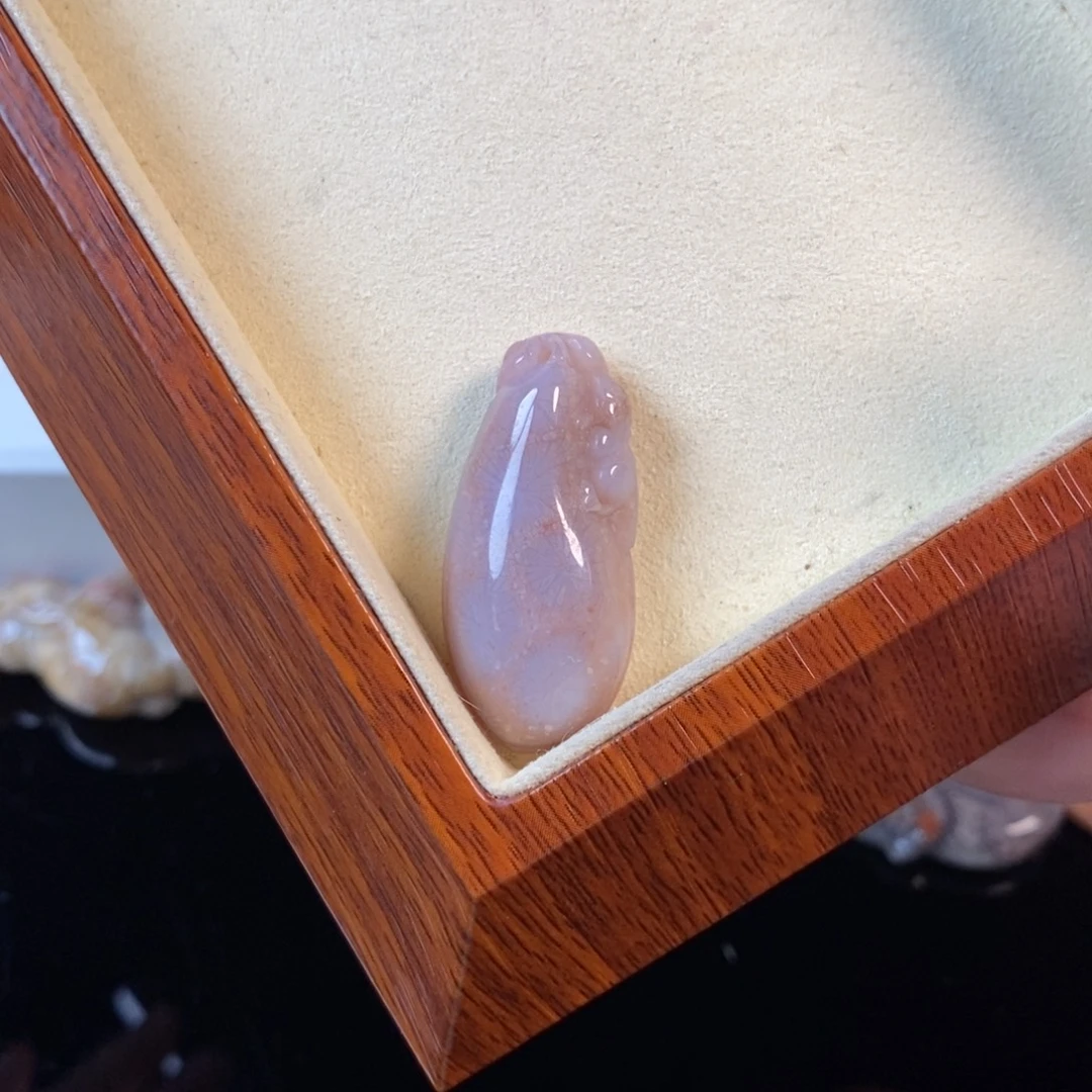 硅化珊瑚（珊瑚玉）未镶嵌颈饰75