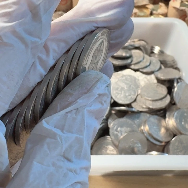 其他普通金属10枚，国国版的第纳尔流通品