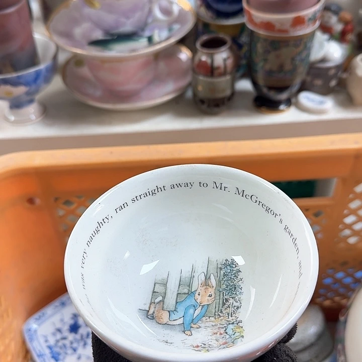 碗开播啦….开播啦