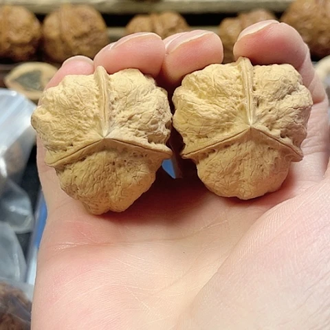 文玩核桃把件蝴蝶蟾三棱37带彩