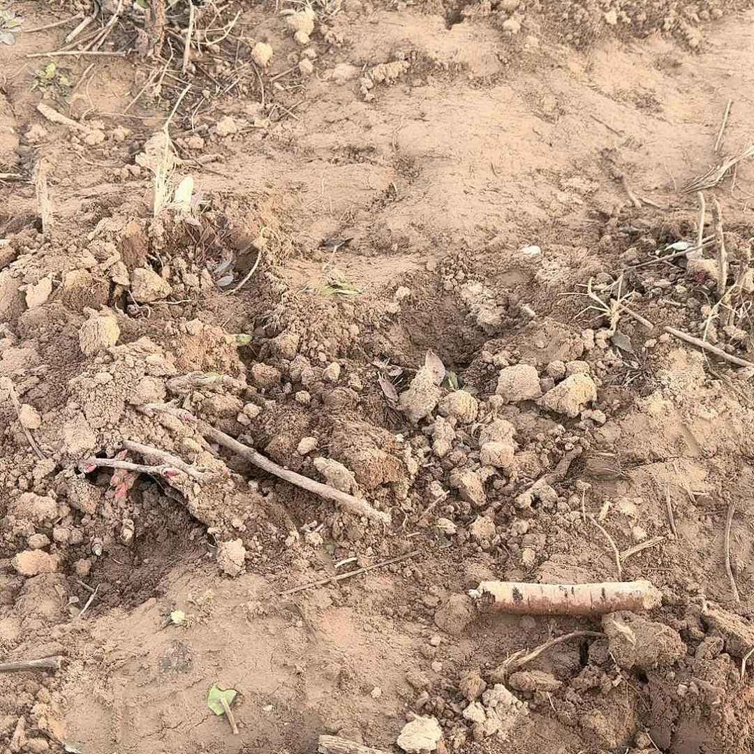 完全开放1111111111