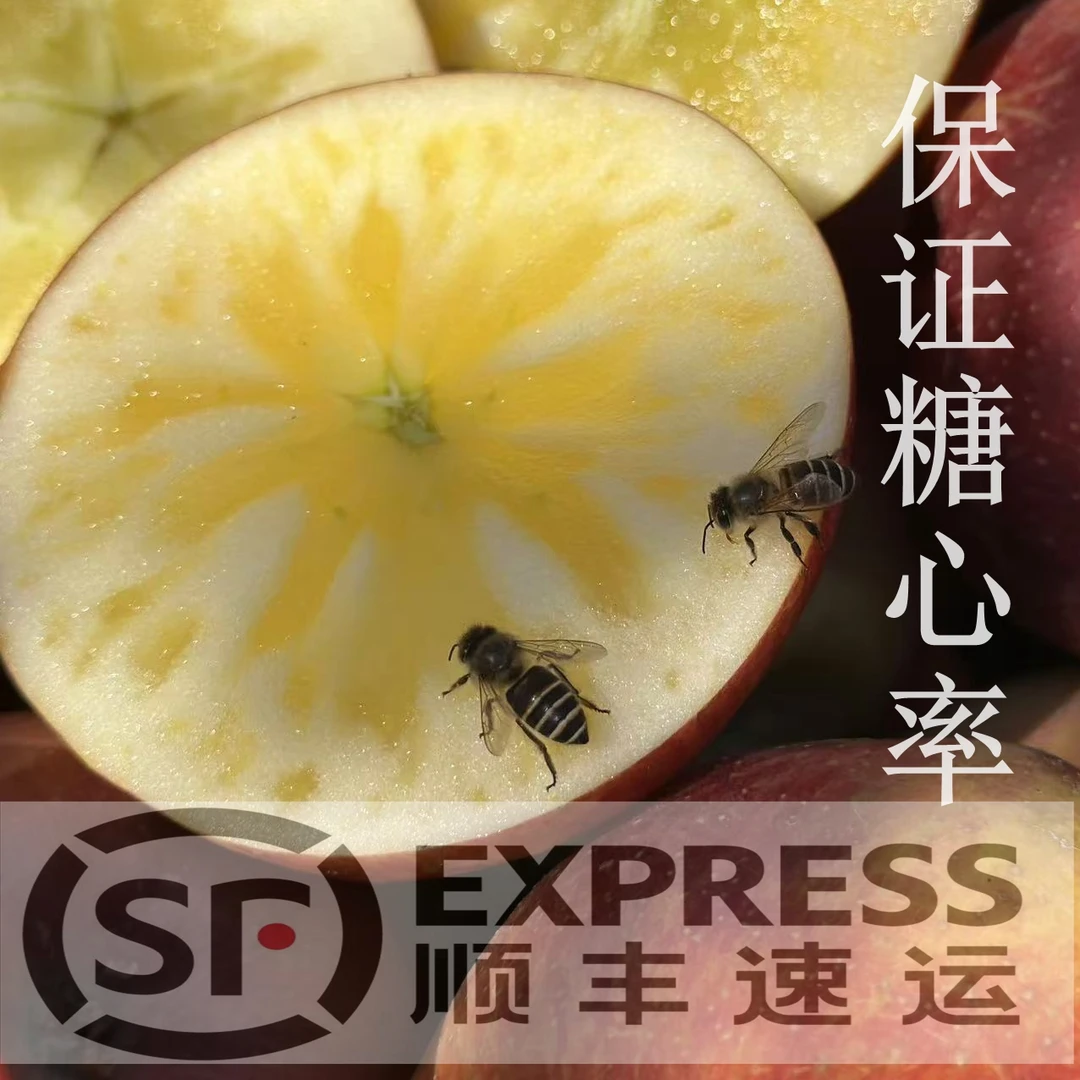 *大凉山糖心丑苹果（晚熟品种） 顺丰京东快递随机发 5斤/8斤净重