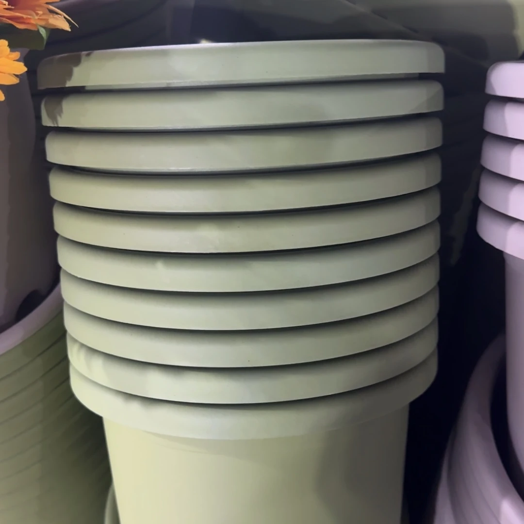 塑料四季3号果绿10个带拖