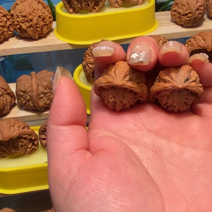 官方网站发布消息