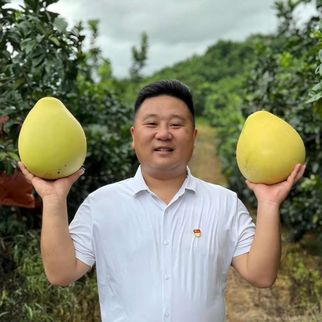 四川泸州红心蜜柚新鲜多汁无籽生态孕妇水果应季好吃5-7斤包邮