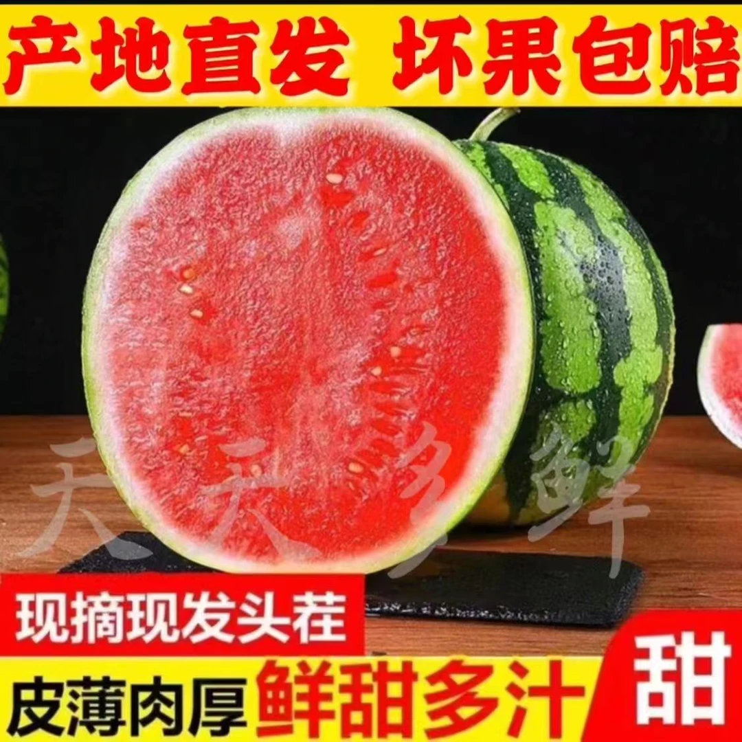 正宗麒麟西瓜冰糖新鲜爆甜应季多汁现摘无籽有籽薄皮水果