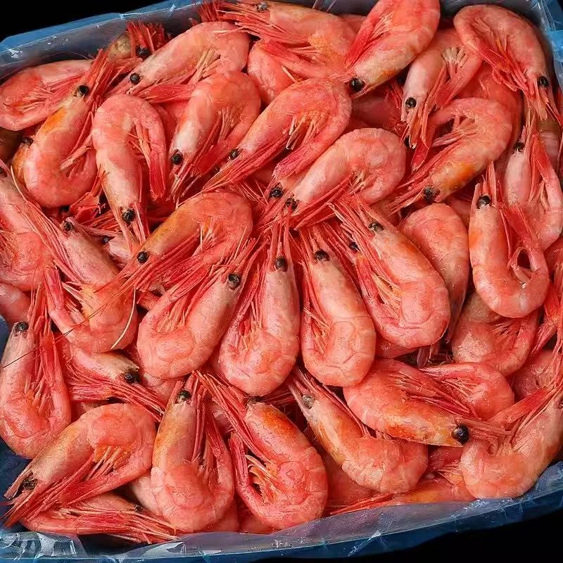 【愚公移海】格陵兰 腹籽北极甜虾95%腹籽率 深海熟冻冰虾净重3斤