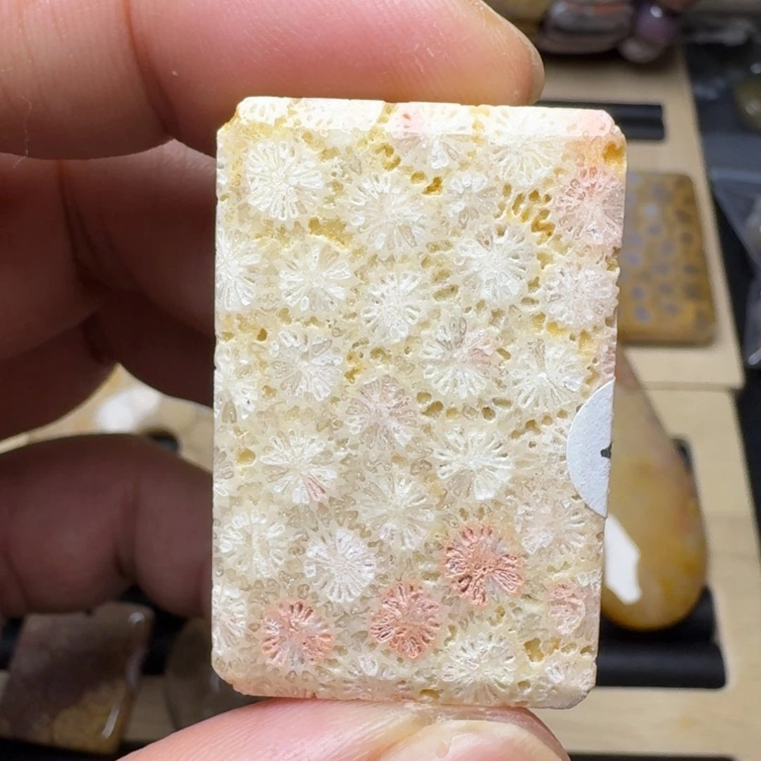 硅化玉未镶嵌纯天然色有机玉石保真惹