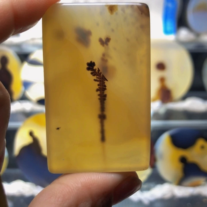 合金玛瑙/玉髓珠宝奇石152