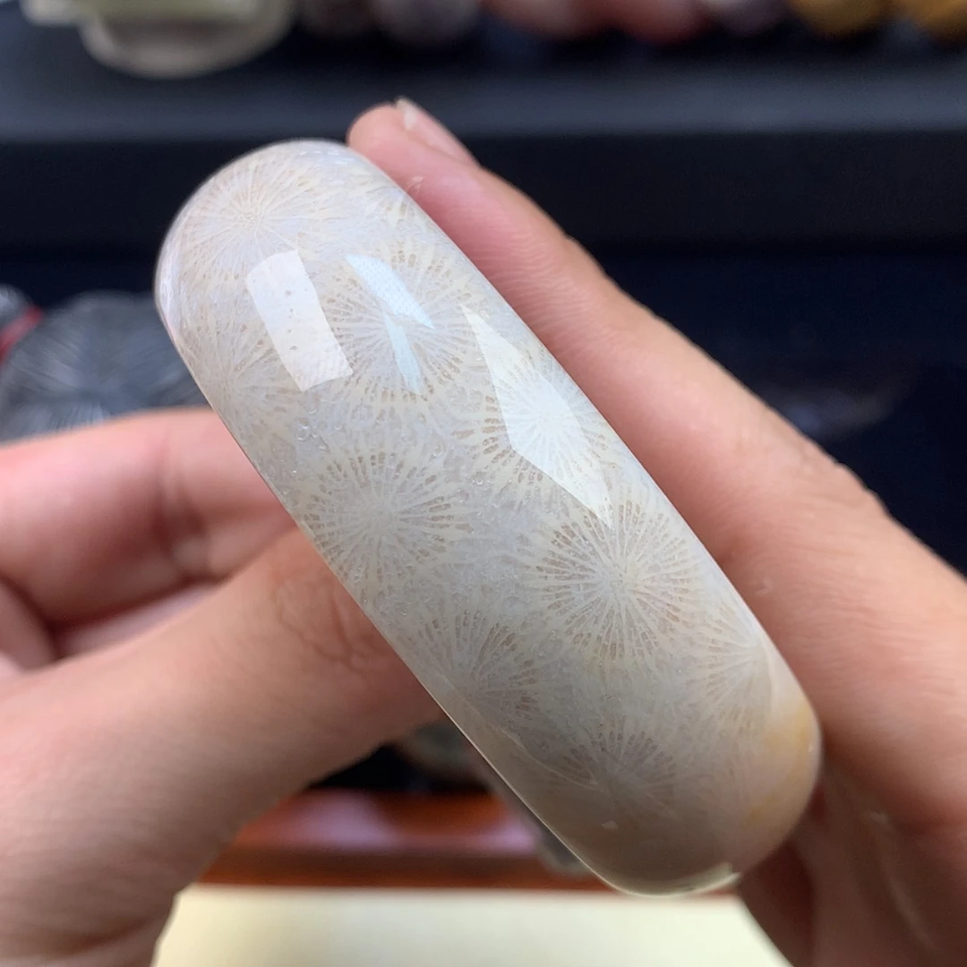 【闪购商品】颈饰未镶嵌硅化珊瑚（珊瑚玉）52号白冰大花57.2圈