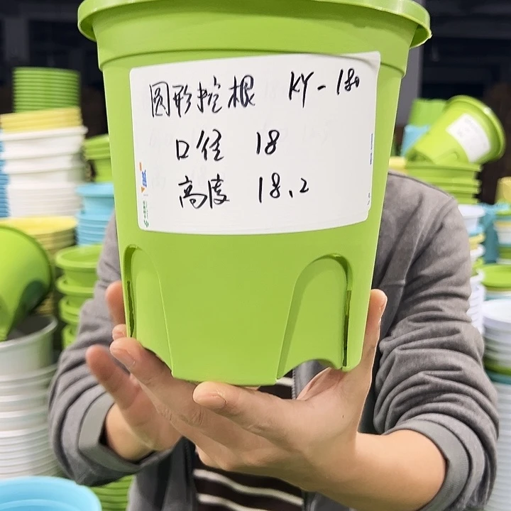 正品圆控口18高18果绿8只无托